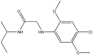  N-(butan-2-yl)-2-[(4-chloro-2,5-dimethoxyphenyl)amino]acetamide