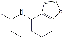 N-(butan-2-yl)-4,5,6,7-tetrahydro-1-benzofuran-4-amine Structure