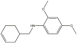 N-(cyclohex-3-en-1-ylmethyl)-2,4-dimethoxyaniline 结构式