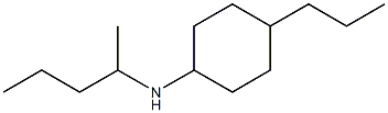 N-(pentan-2-yl)-4-propylcyclohexan-1-amine 化学構造式