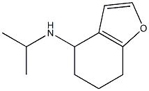 N-(propan-2-yl)-4,5,6,7-tetrahydro-1-benzofuran-4-amine Struktur