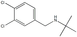 N-(tert-butyl)-N-(3,4-dichlorobenzyl)amine|