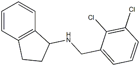 N-[(2,3-dichlorophenyl)methyl]-2,3-dihydro-1H-inden-1-amine 化学構造式