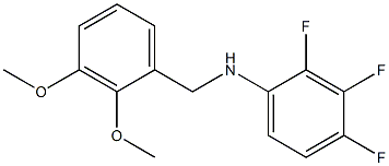 N-[(2,3-dimethoxyphenyl)methyl]-2,3,4-trifluoroaniline,,结构式