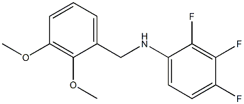  N-[(2,3-dimethoxyphenyl)methyl]-2,3,4-trifluoroaniline