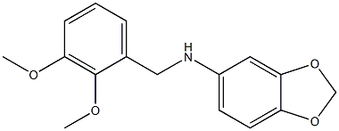 N-[(2,3-dimethoxyphenyl)methyl]-2H-1,3-benzodioxol-5-amine 结构式