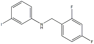 N-[(2,4-difluorophenyl)methyl]-3-iodoaniline Structure