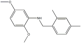 N-[(2,4-dimethylphenyl)methyl]-2,5-dimethoxyaniline