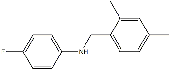 N-[(2,4-dimethylphenyl)methyl]-4-fluoroaniline,,结构式