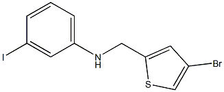 N-[(4-bromothiophen-2-yl)methyl]-3-iodoaniline 结构式