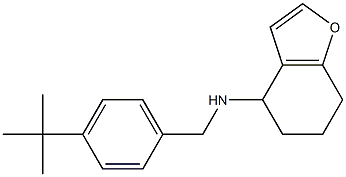 N-[(4-tert-butylphenyl)methyl]-4,5,6,7-tetrahydro-1-benzofuran-4-amine 结构式