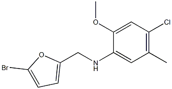 N-[(5-bromofuran-2-yl)methyl]-4-chloro-2-methoxy-5-methylaniline