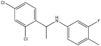 N-[1-(2,4-dichlorophenyl)ethyl]-3-fluoro-4-methylaniline 结构式