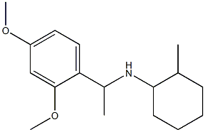 N-[1-(2,4-dimethoxyphenyl)ethyl]-2-methylcyclohexan-1-amine Structure