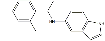 N-[1-(2,4-dimethylphenyl)ethyl]-1H-indol-5-amine Struktur