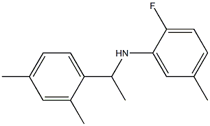 N-[1-(2,4-dimethylphenyl)ethyl]-2-fluoro-5-methylaniline Structure