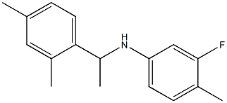 N-[1-(2,4-dimethylphenyl)ethyl]-3-fluoro-4-methylaniline Structure