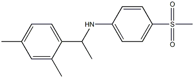 N-[1-(2,4-dimethylphenyl)ethyl]-4-methanesulfonylaniline,,结构式