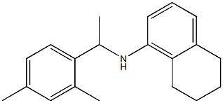 N-[1-(2,4-dimethylphenyl)ethyl]-5,6,7,8-tetrahydronaphthalen-1-amine Struktur