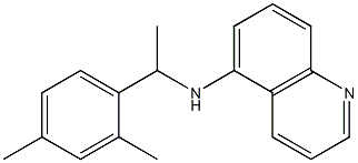 N-[1-(2,4-dimethylphenyl)ethyl]quinolin-5-amine 结构式