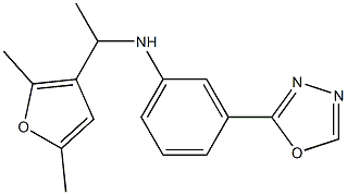  N-[1-(2,5-dimethylfuran-3-yl)ethyl]-3-(1,3,4-oxadiazol-2-yl)aniline