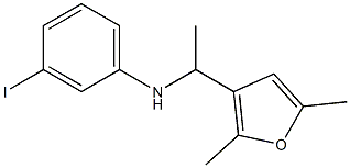 N-[1-(2,5-dimethylfuran-3-yl)ethyl]-3-iodoaniline,,结构式