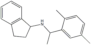  N-[1-(2,5-dimethylphenyl)ethyl]-2,3-dihydro-1H-inden-1-amine