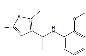 N-[1-(2,5-dimethylthiophen-3-yl)ethyl]-2-ethoxyaniline Structure
