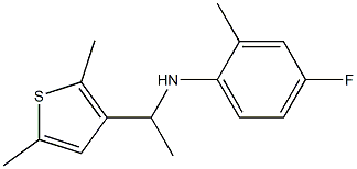 N-[1-(2,5-dimethylthiophen-3-yl)ethyl]-4-fluoro-2-methylaniline 化学構造式