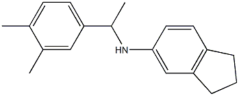 N-[1-(3,4-dimethylphenyl)ethyl]-2,3-dihydro-1H-inden-5-amine,,结构式