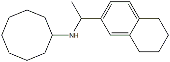 N-[1-(5,6,7,8-tetrahydronaphthalen-2-yl)ethyl]cyclooctanamine