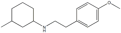 N-[2-(4-methoxyphenyl)ethyl]-3-methylcyclohexan-1-amine,,结构式