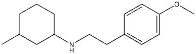  N-[2-(4-methoxyphenyl)ethyl]-3-methylcyclohexan-1-amine