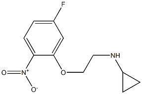 N-[2-(5-fluoro-2-nitrophenoxy)ethyl]cyclopropanamine Struktur