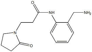 N-[2-(aminomethyl)phenyl]-3-(2-oxopyrrolidin-1-yl)propanamide Structure