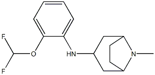 N-[2-(difluoromethoxy)phenyl]-8-methyl-8-azabicyclo[3.2.1]octan-3-amine Struktur