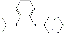 N-[2-(difluoromethoxy)phenyl]-8-methyl-8-azabicyclo[3.2.1]octan-3-amine Structure