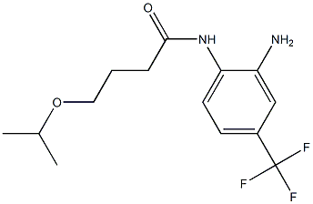 N-[2-amino-4-(trifluoromethyl)phenyl]-4-(propan-2-yloxy)butanamide Struktur