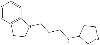 N-[3-(2,3-dihydro-1H-indol-1-yl)propyl]thiolan-3-amine Structure