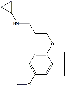 N-[3-(2-tert-butyl-4-methoxyphenoxy)propyl]cyclopropanamine 结构式