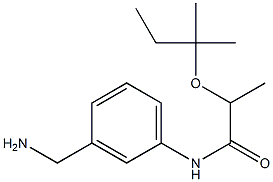  N-[3-(aminomethyl)phenyl]-2-[(2-methylbutan-2-yl)oxy]propanamide