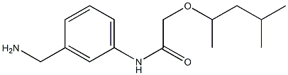 N-[3-(aminomethyl)phenyl]-2-[(4-methylpentan-2-yl)oxy]acetamide 化学構造式