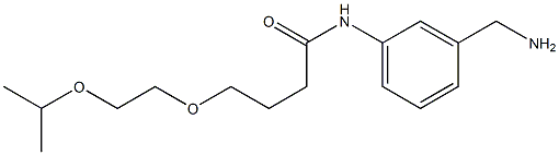 N-[3-(aminomethyl)phenyl]-4-[2-(propan-2-yloxy)ethoxy]butanamide Structure