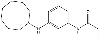 N-[3-(cyclooctylamino)phenyl]propanamide 化学構造式