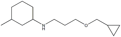 N-[3-(cyclopropylmethoxy)propyl]-3-methylcyclohexan-1-amine 结构式