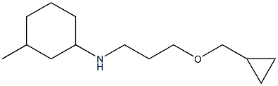 N-[3-(cyclopropylmethoxy)propyl]-3-methylcyclohexan-1-amine Structure