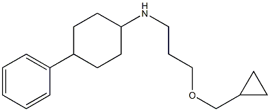 N-[3-(cyclopropylmethoxy)propyl]-4-phenylcyclohexan-1-amine 结构式
