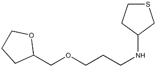 N-[3-(oxolan-2-ylmethoxy)propyl]thiolan-3-amine Struktur