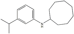  N-[3-(propan-2-yl)phenyl]cyclooctanamine