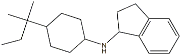 N-[4-(2-methylbutan-2-yl)cyclohexyl]-2,3-dihydro-1H-inden-1-amine